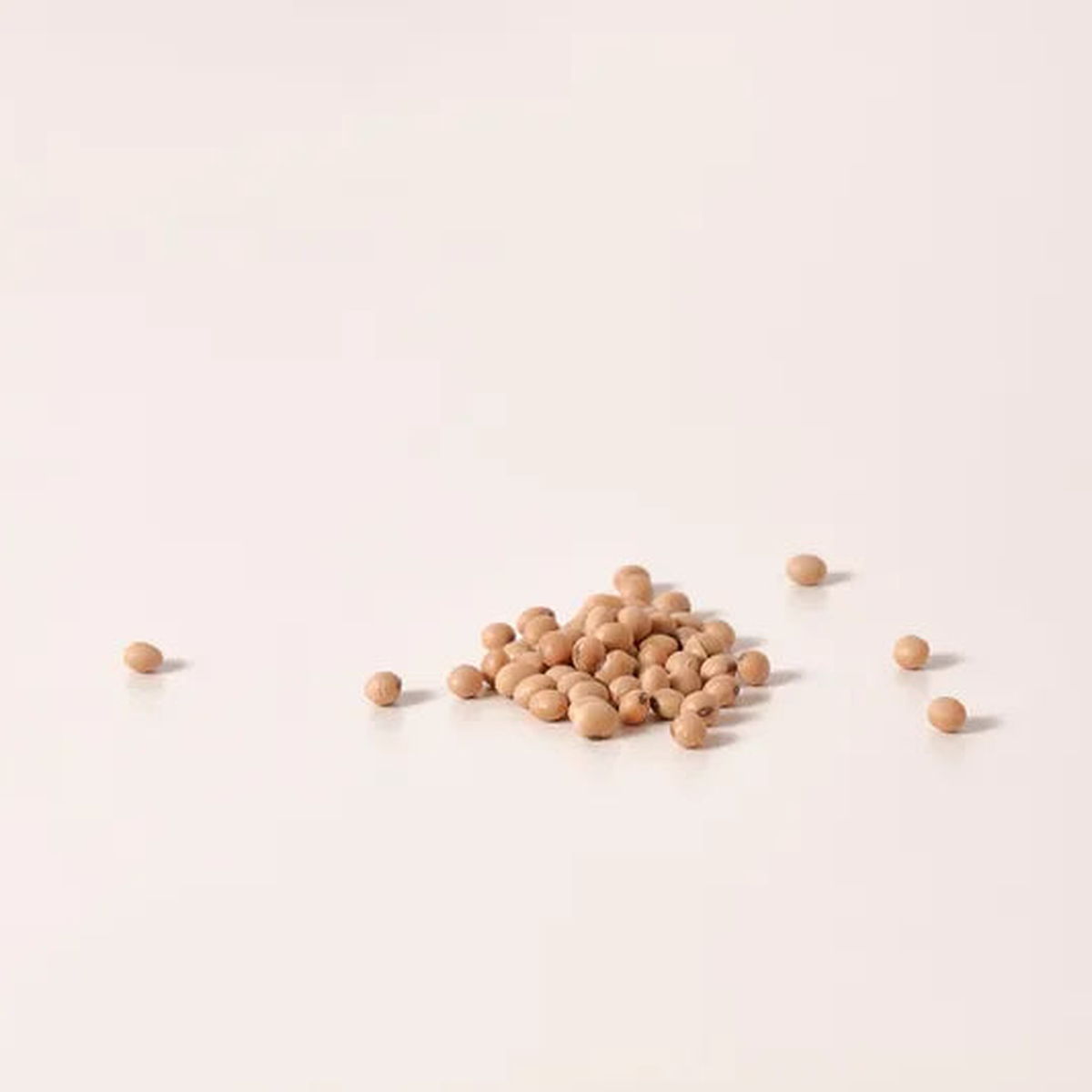 Soybean Seed Extract