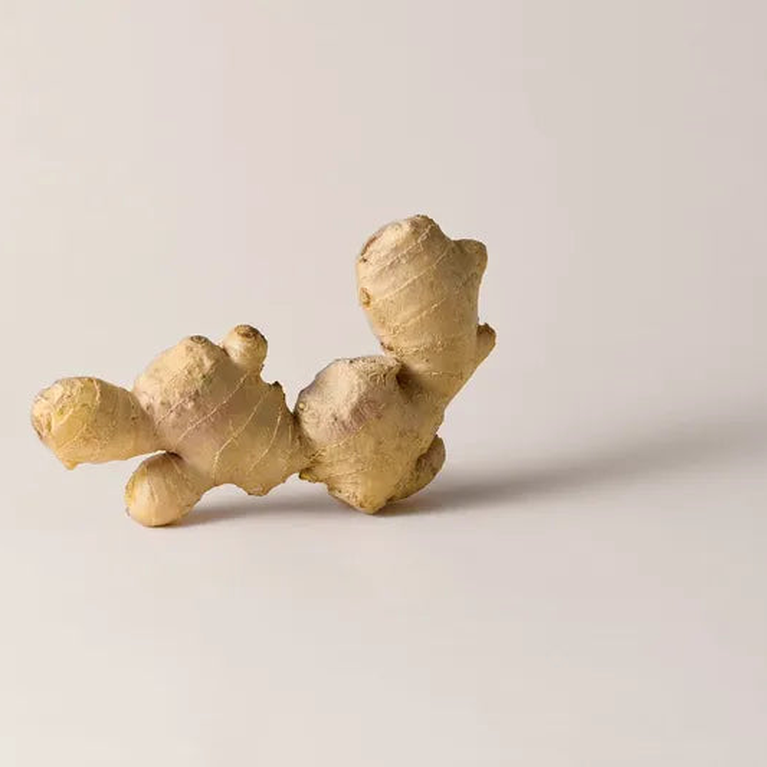Ginger Root