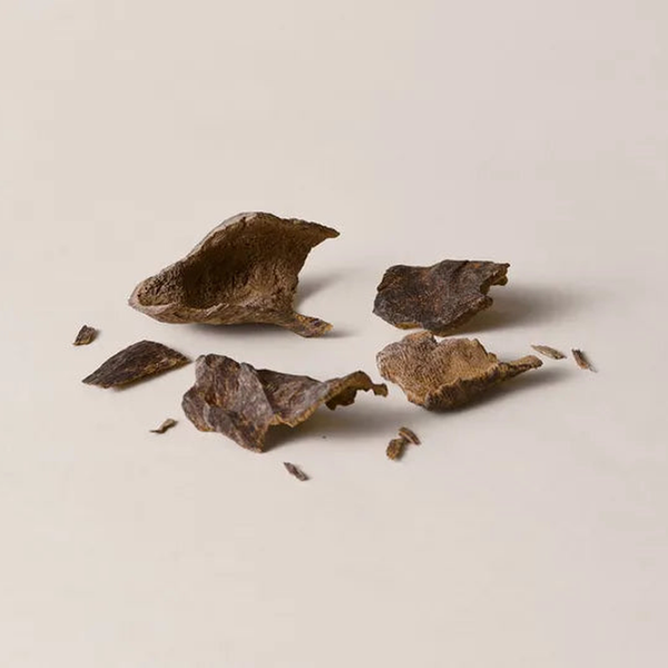 Inga Alba Bark