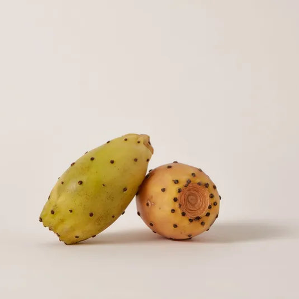 Prickly Pear (Cactus) Extract