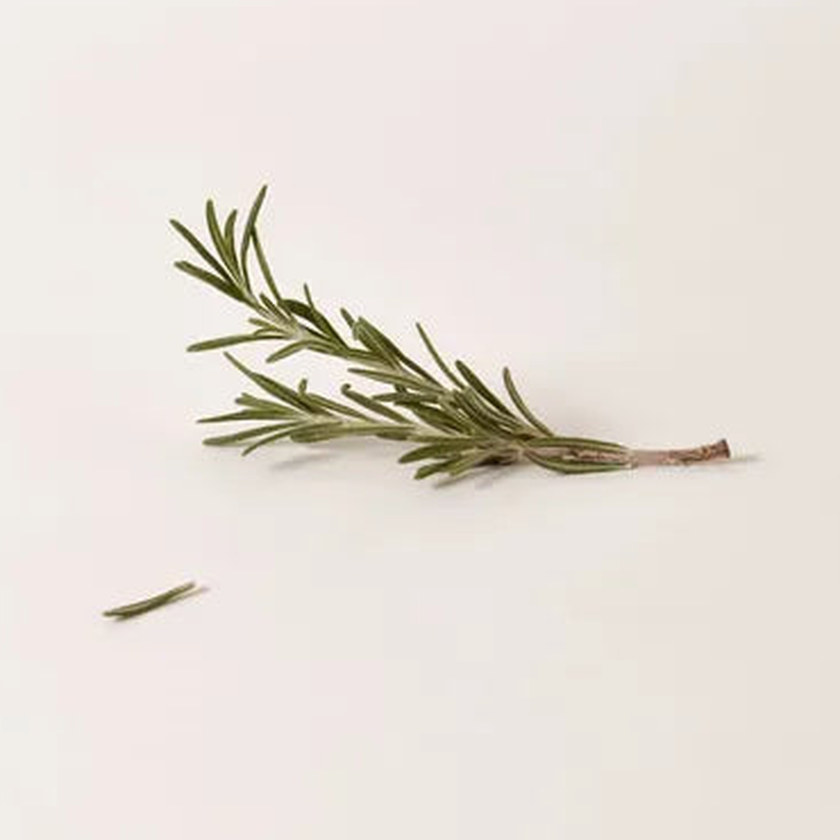 Rosemary Extract