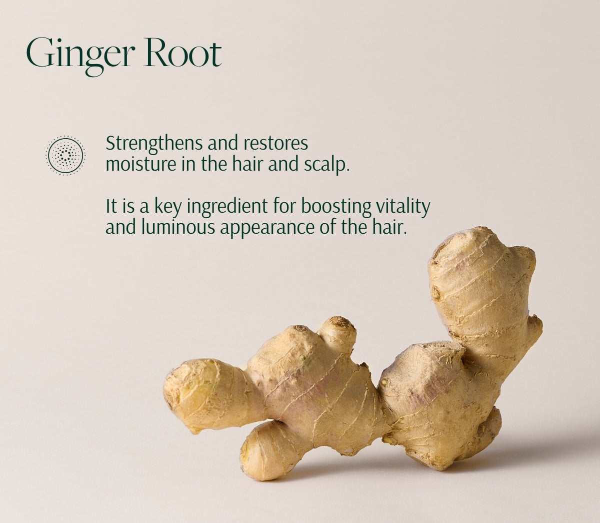Scalp + Hair Revival System