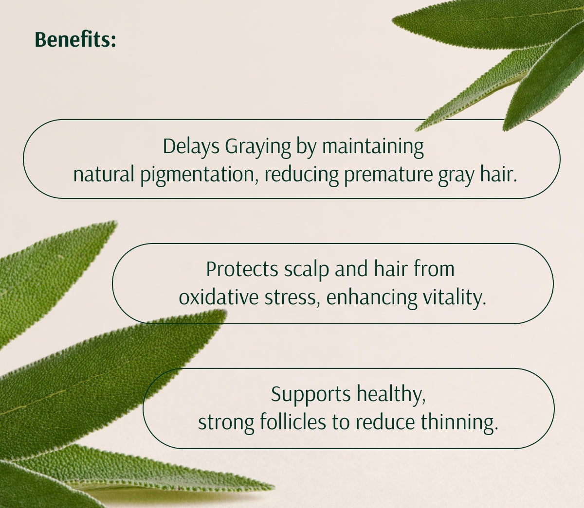 Scalp Support Serum