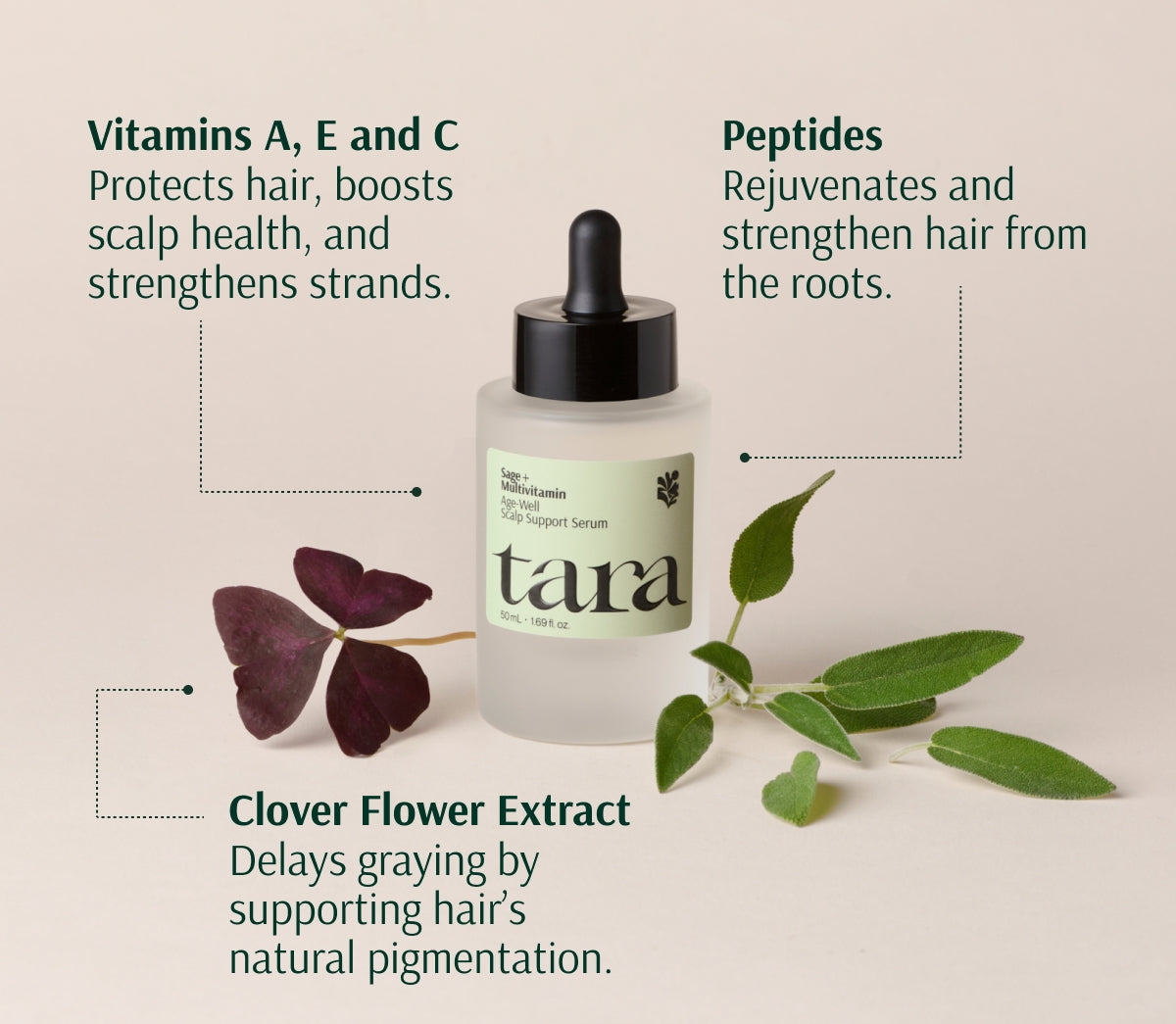 Ingredient diagram: the serum bottle with a red clover flower and sage, labeling vitamins, peptides and clover flower extract
