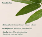 Information card with sage leaves on cream, setting out the routine's stated aims for hair texture, strength and signs of aging