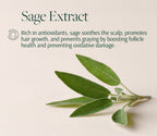 Ingredient card for sage extract: a sprig on cream with a paragraph describing the extract's stated role at the scalp