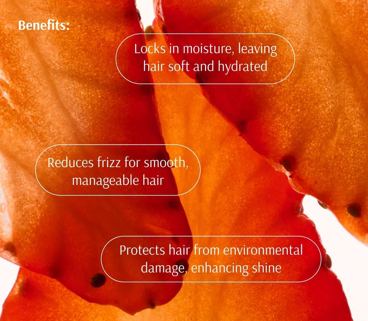 Nurture Conditioner