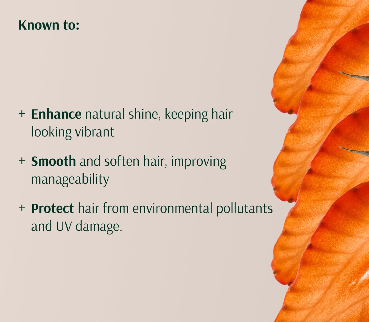 Nurture Conditioner