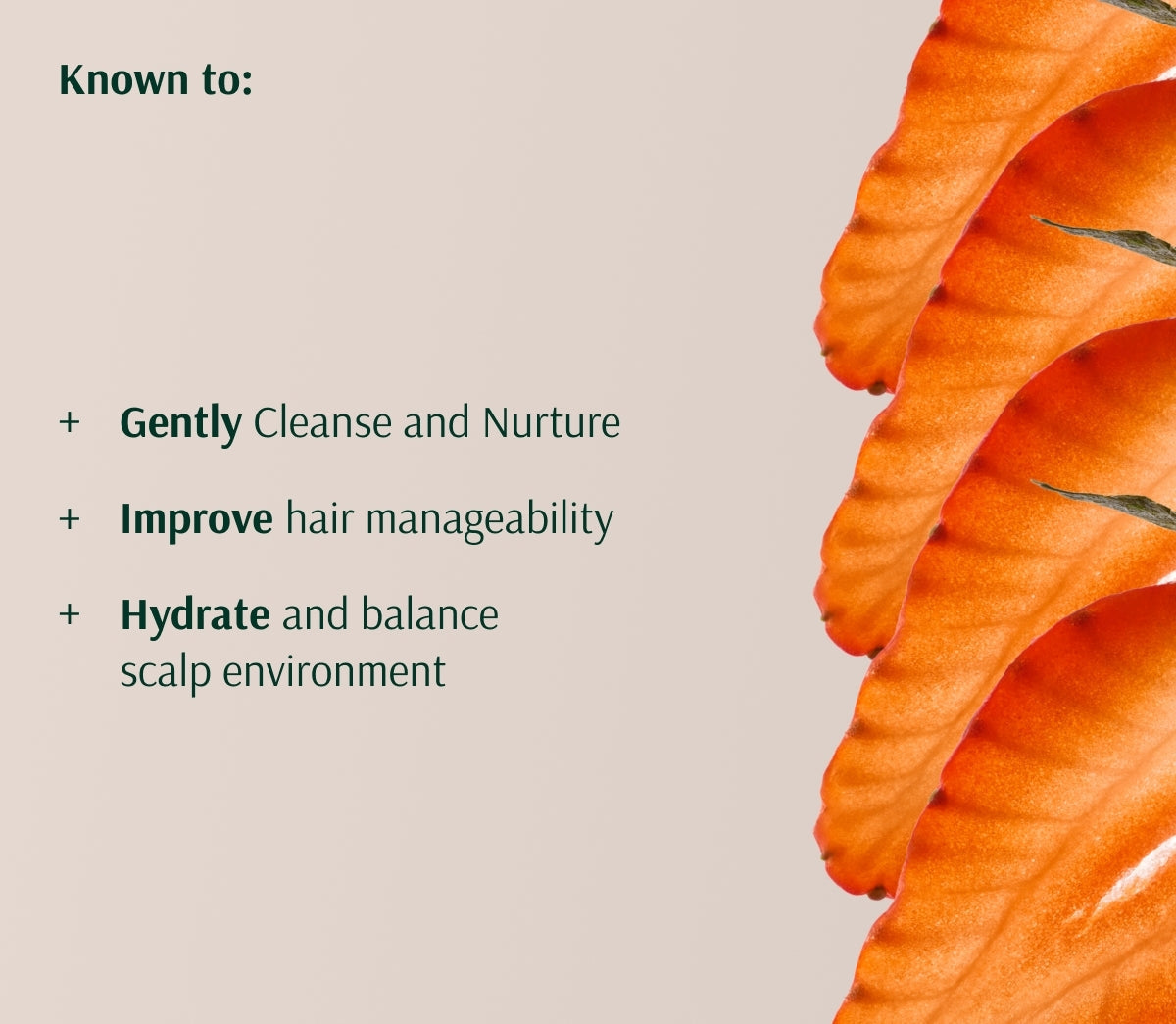 Nurture Shampoo
